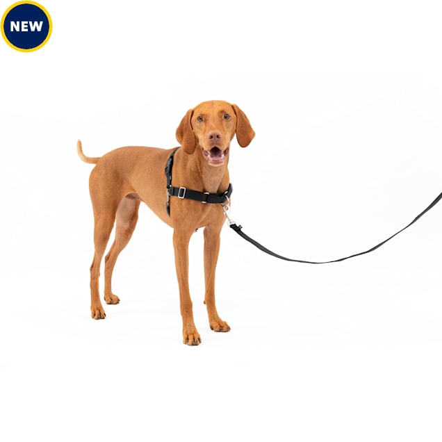 PetSafe Black Easy Walk No Pull Dog Harness, Medium Petco