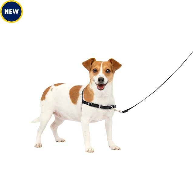 PetSafe Easy Walk Black No Pull Dog Harness Small