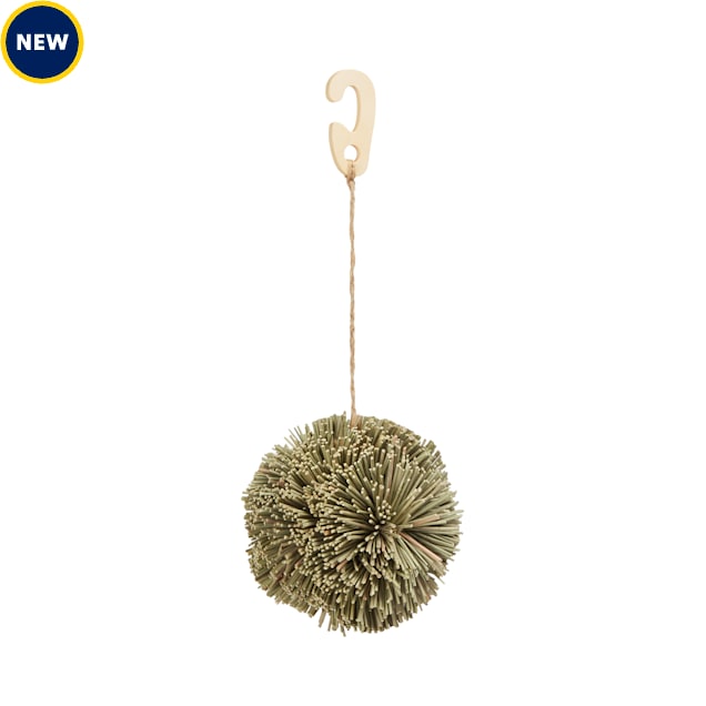 EveryYay Grassy Nibblers Hanging Activity Chew Ball for Small Animals - Carousel image #1