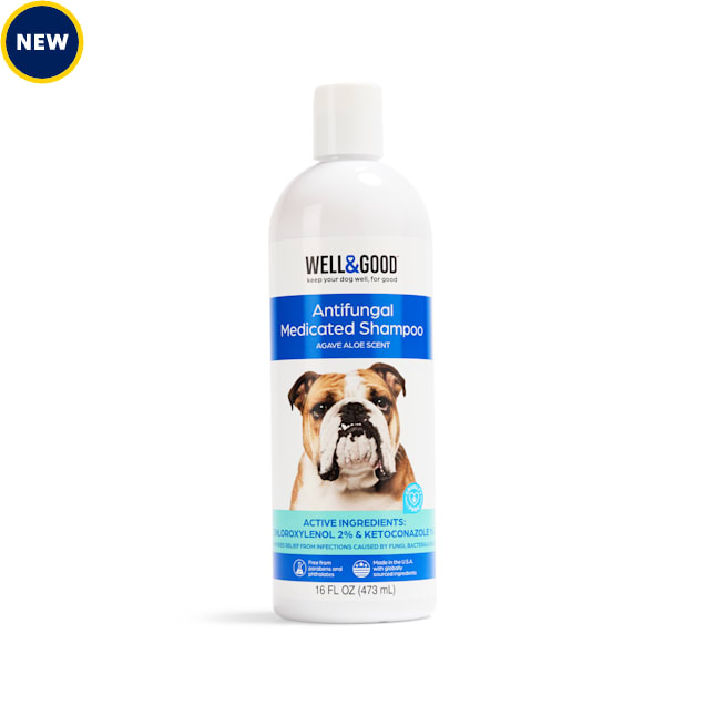 Shampoo for fungus cheap
