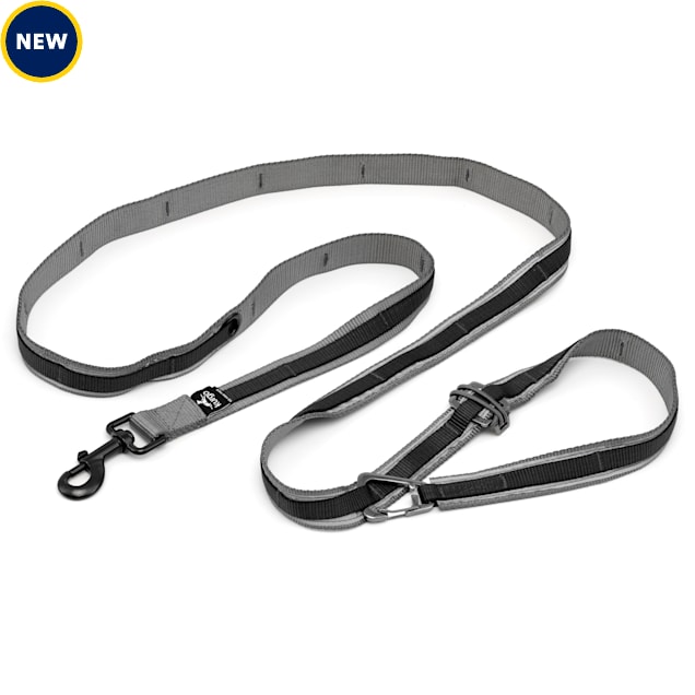 Waist deals leash petco