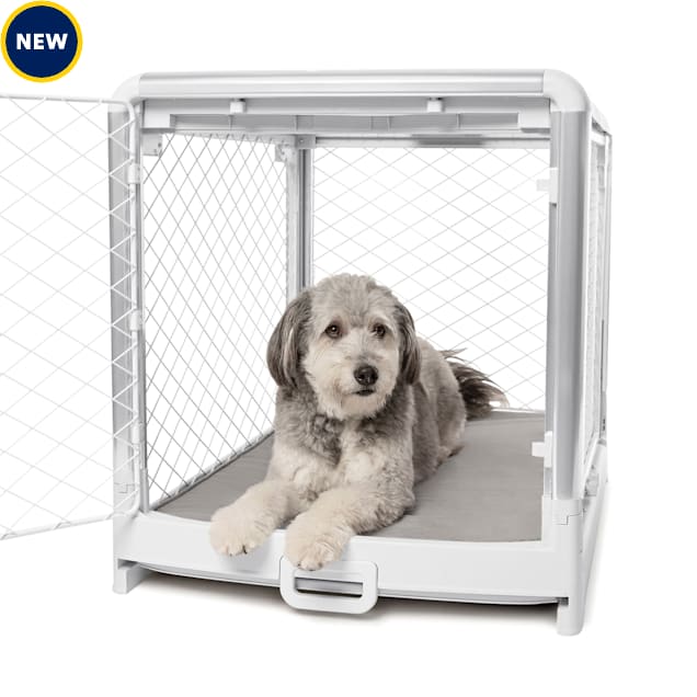 Petco collapsible hot sale dog crate