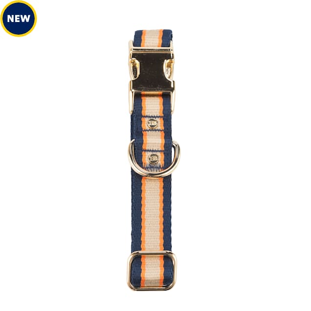 Harry Barker Tan Classic Striped Dog Collar, Small Petco