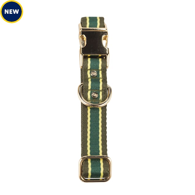Harry Barker Green Striped Small Dog Collar & EcoFriendly