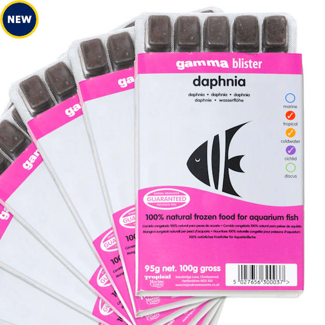 Frozen deals daphnia petco