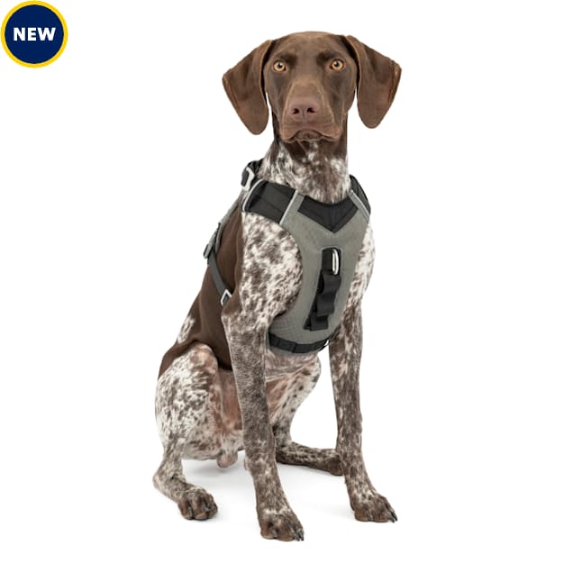 Petco kurgo sale harness