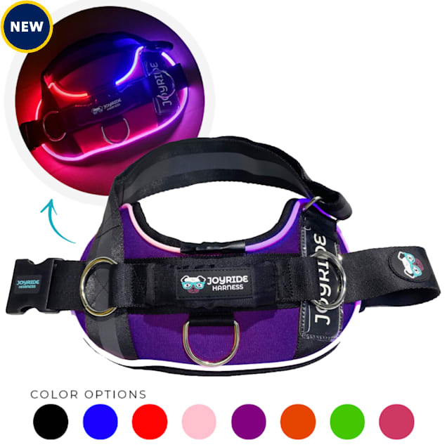 Petco light up collar discount