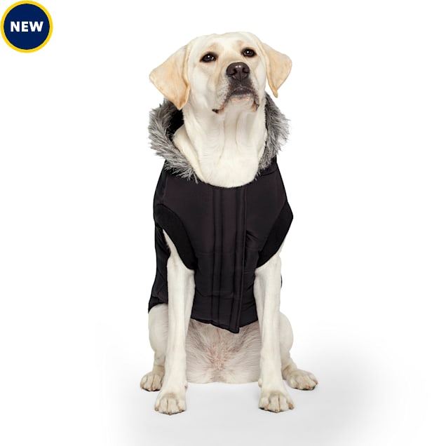 Canada Pooch True North Paraka for Dogs, 12, X-Small, Black - Carousel image #1