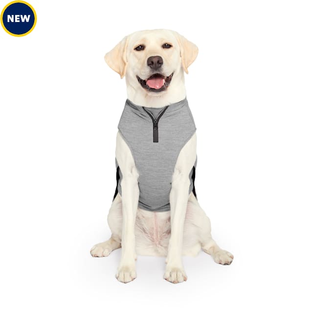 Canada Pooch Waterproof Sweater for Dogs, 8, 3X-Small, Gray - Carousel image #1