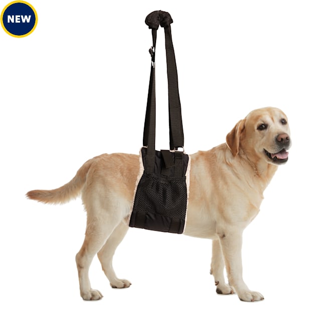 Zenpet Buddy Lift Canine Support Rehabilitation Sling for Dogs Large Petco