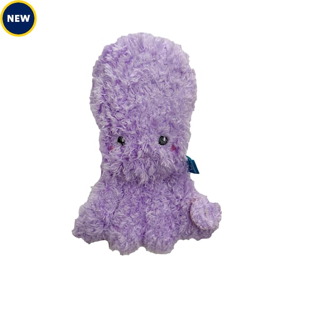 Barkbox octopus top