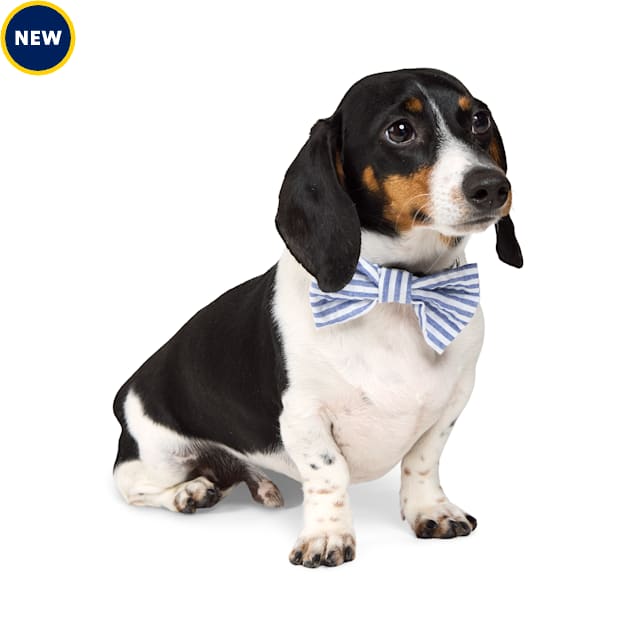 Bow ties for dogs petco discount
