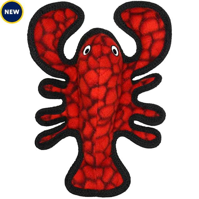 Tuffy chew toys discount