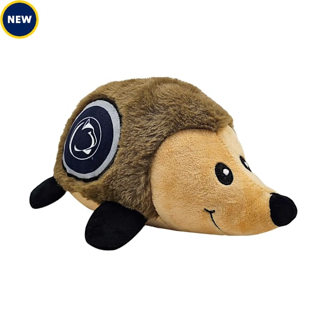 Hedgehog petco best sale