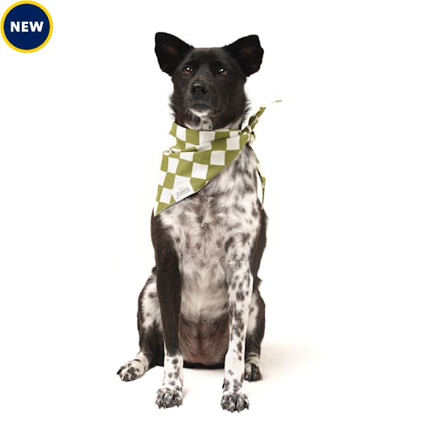 Petco bandana 2025