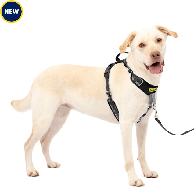 PetSafe 5 Points of Adjustment for Perfect Fit Easy Walk Comfort No