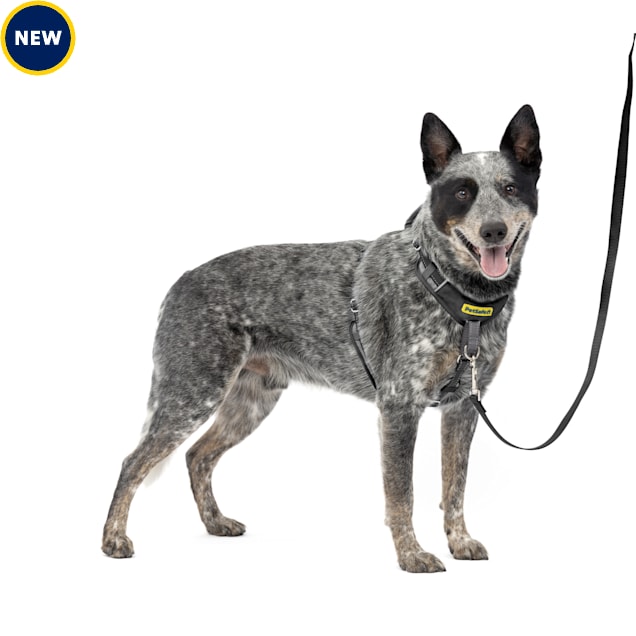 PetSafe 5 Points of Adjustment for Perfect Fit Easy Walk Comfort No