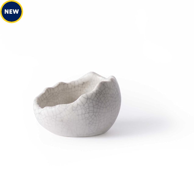 Galapagos Ceramic Egg Dish, Small - Carousel image #1