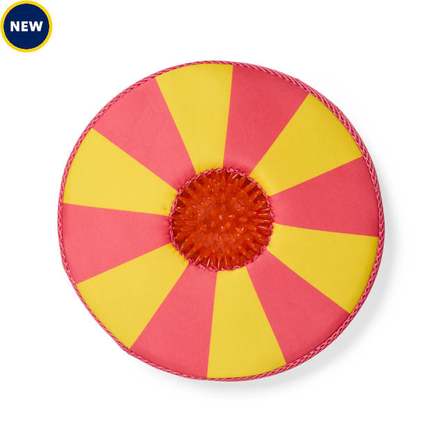 Leaps & Bounds Striped 2-in-1 Flyer Dog Toy, Medium - Carousel image #1