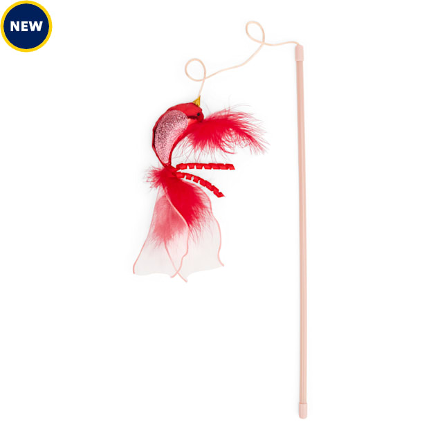 Leaps & Bounds Red Bird Cat Teaser Toy, Large - Carousel image #1