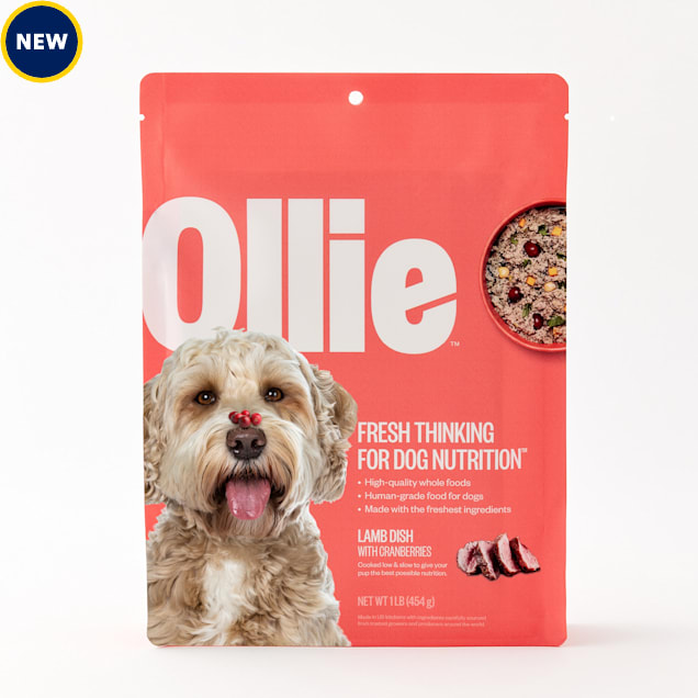 Ollie dog food login new arrivals