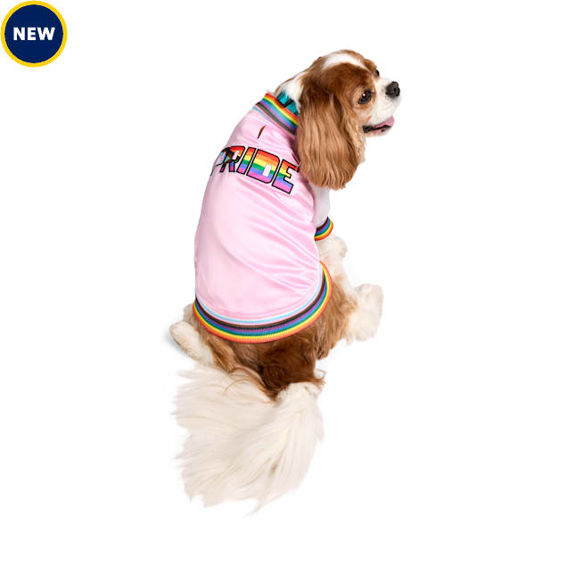 YOULY Pride Pet Bomber Jacket, Pink, X-Small - Carousel image #1