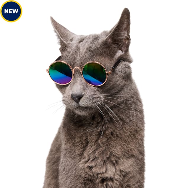 YOULY Iridescent Prop Cat Glasses - Carousel image #1