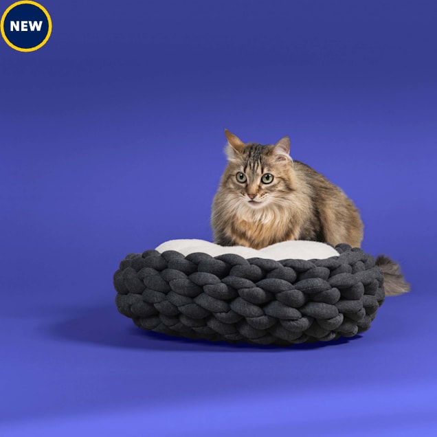 Jupiter Woven Knotted Braided Cat Bed, 16" L X 16" W X 5" H, Dark Grey - Carousel image #1