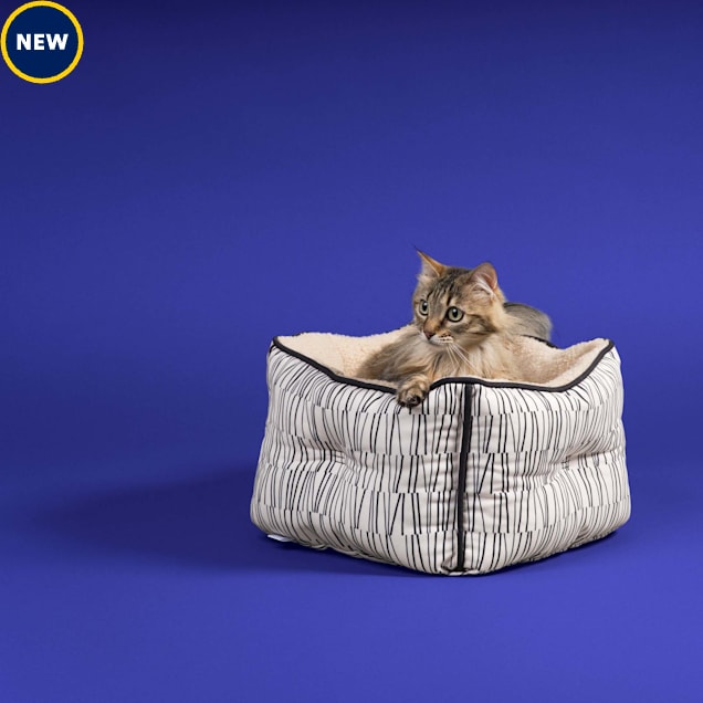 Jupiter Short Wall Cat Bed, 17.4" L X 17.4" W X 9.5" H, Black - Carousel image #1