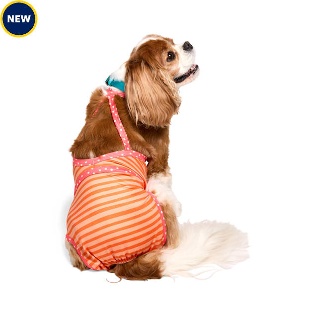 YOULY UPF-Protection One-Piece Dog Swimsuit, Orange Stripe, X-Small - Carousel image #1