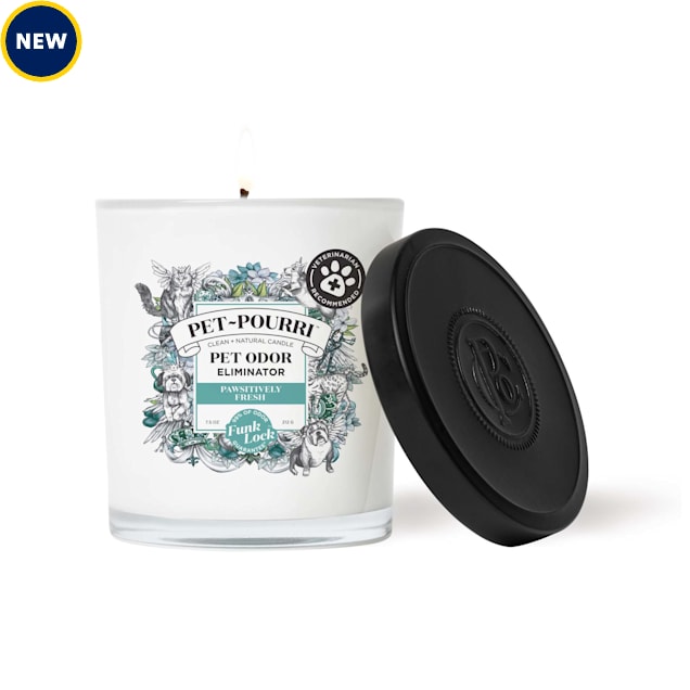 Pet-Pourri Pawsitively Fresh Candle for Cats, 7.5 oz. - Carousel image #1