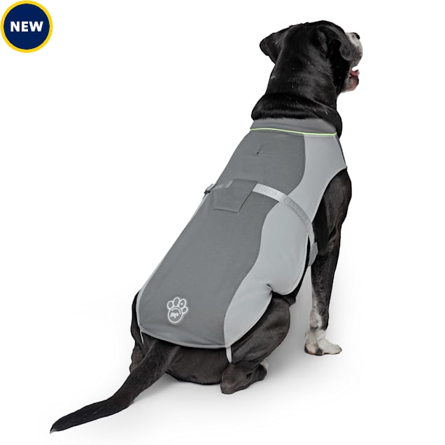 Canada Pooch Max Chill Cooling Dog Vest, Grey, X-Small - Carousel image #1