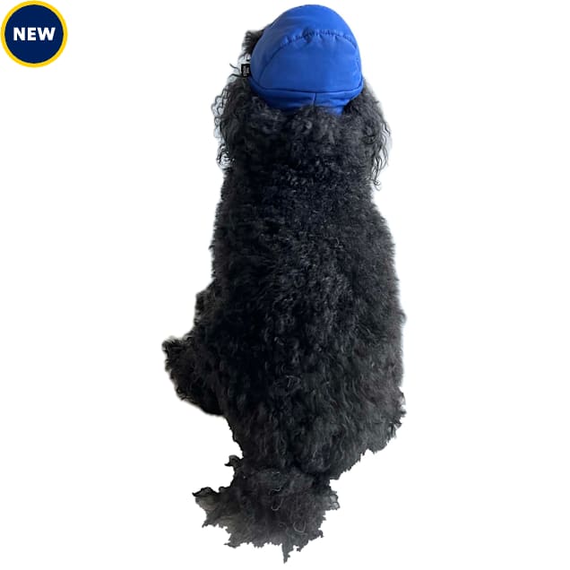The Howls Puffer Hat for Dogs, Small, Cobalt - Carousel image #1