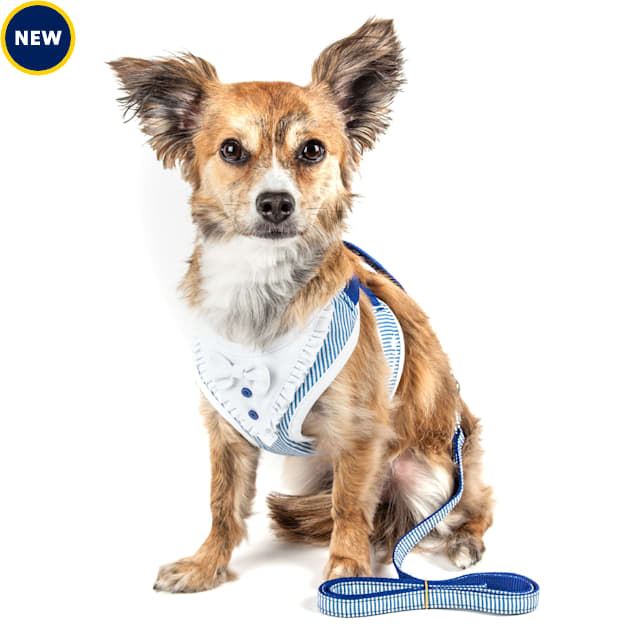 Petco mesh harness clearance