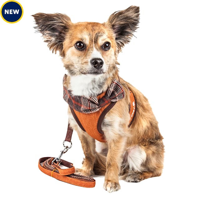 Pet Life Luxe 'Pawsh' 2-in-1 Mesh Reversed Adjustable Dog Harness and Leash W/ Fashion Bowtie, X-Small, Tangerine - Carousel image #1