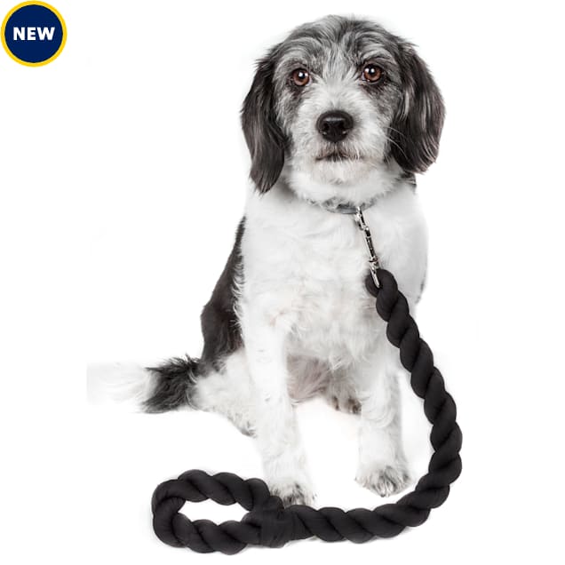 Pet Life Tough Tugger Industrial Strength Woven Close Training Dog Leash, Navy, 4 ft. - Carousel image #1