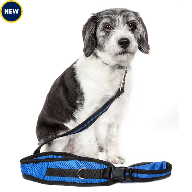 Pet Life Echelon Hands Free and Convertible 2 in 1 Training Dog Leash and Pet Belt with Pouch Blue 5.24 ft. Petco