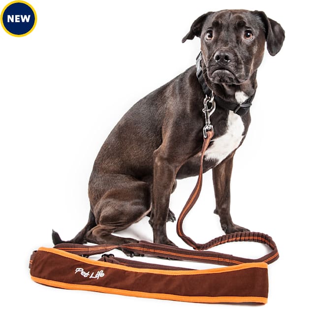 Pet Life Free Fetcher Hands Free Over The Shoulder Shock Absorbent Dog Leash Small Brown