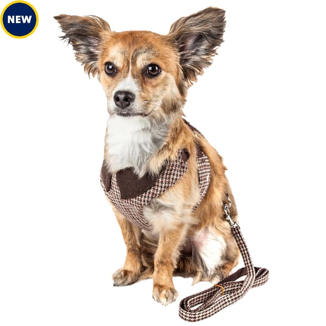 Petco adjustable mesh harness 2025