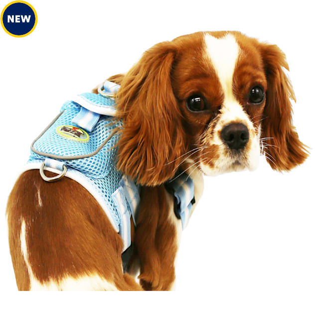 Petco mesh harness store