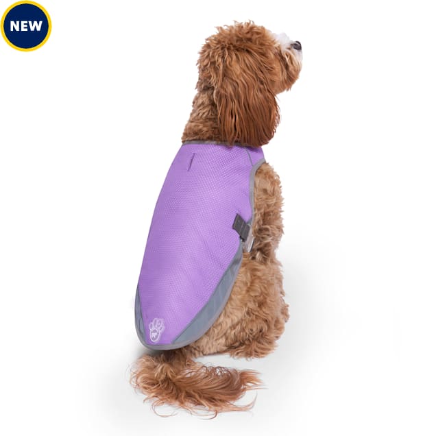 Canada Pooch Chill Seeker Cooling Vest for Dogs, Purple, X-Small - Carousel image #1