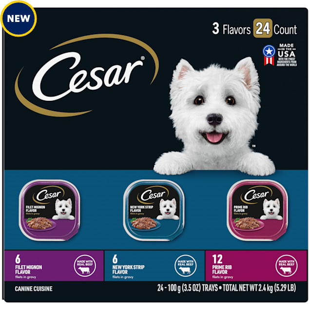 Cesar Filet Mignon, New York Strip and Prime Rib Flavors Filets in Gravy Adult Wet Dog Food Variety Pack, 3.5 oz., Count of 24 - Carousel image #1