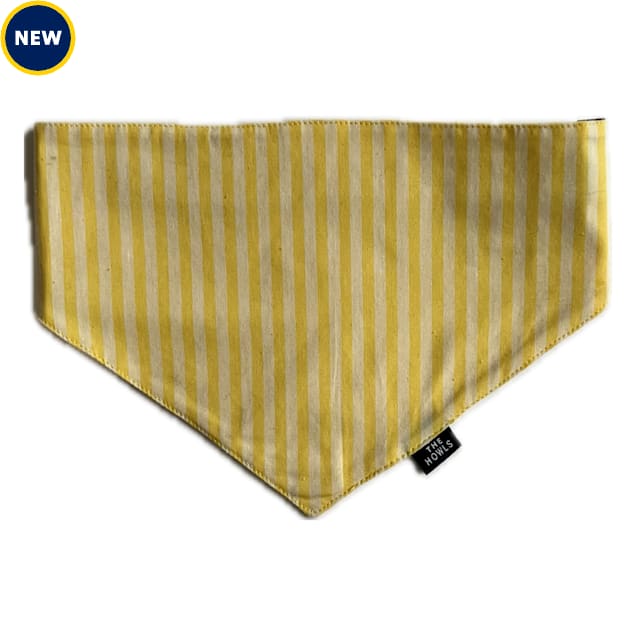 The Howls Yellow Stripe Bandana for Dogs, Yellow Stripe, Small/Medium - Carousel image #1