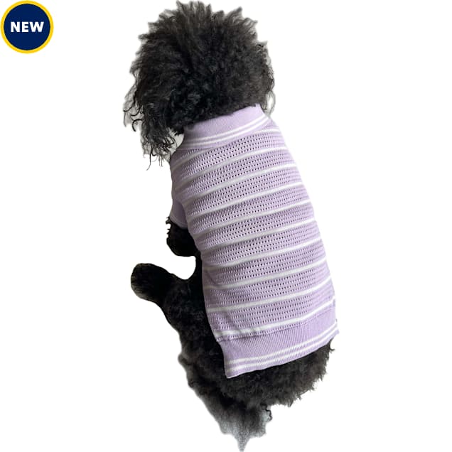 The Howls Mesh Stripe Polo for Dogs, Lavender, Large - Carousel image #1