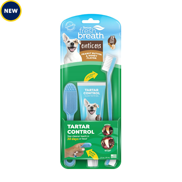 TropiClean Fresh Breath Enticers Peanut Butter & Honey Oral Care Kit for Dogs, 2 fz. - Carousel image #1