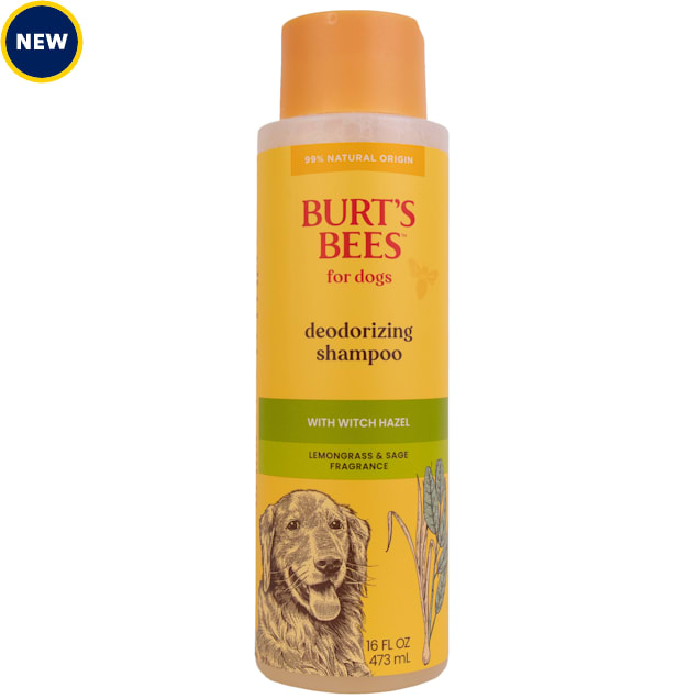 Burt's Bees Lemongrass & Sage Deodorizing Shampoo with Witch Hazel for Dogs, 16 fl. oz. - Carousel image #1