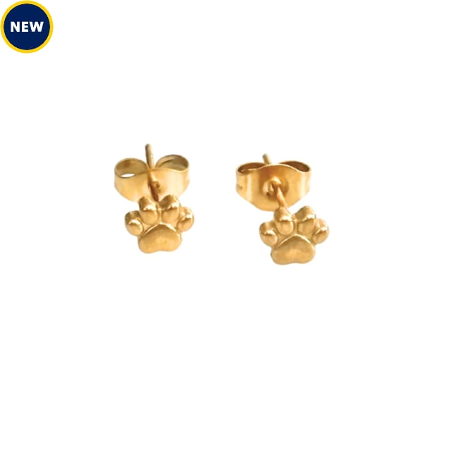Hollywood Sensation Pawfect Mini Paw Print Stud Earrings, Gold - Carousel image #1