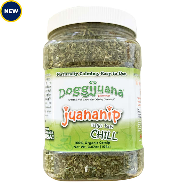 Doggijuana Jar of Juananip Dog Toy, Small - Carousel image #1