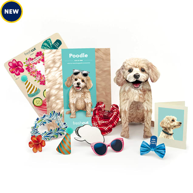 Freshcut Paper Poodle Pop-Up Greeting Card - Carousel image #1