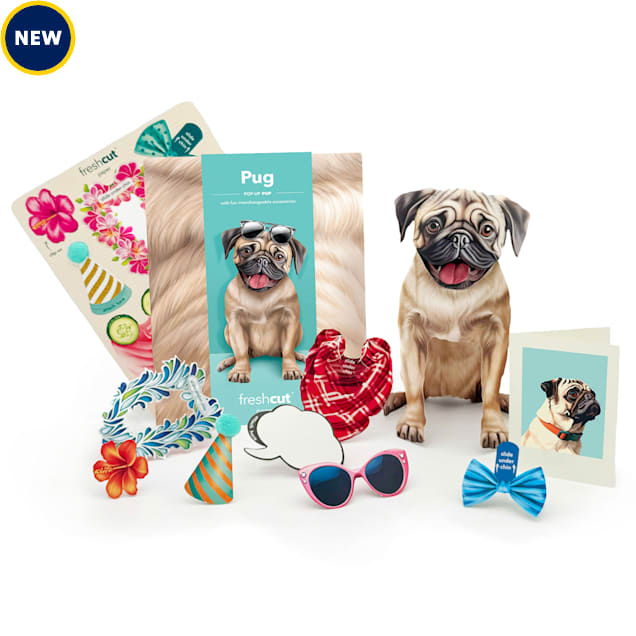 Freshcut Paper Pug Pop-Up Greeting Card - Carousel image #1